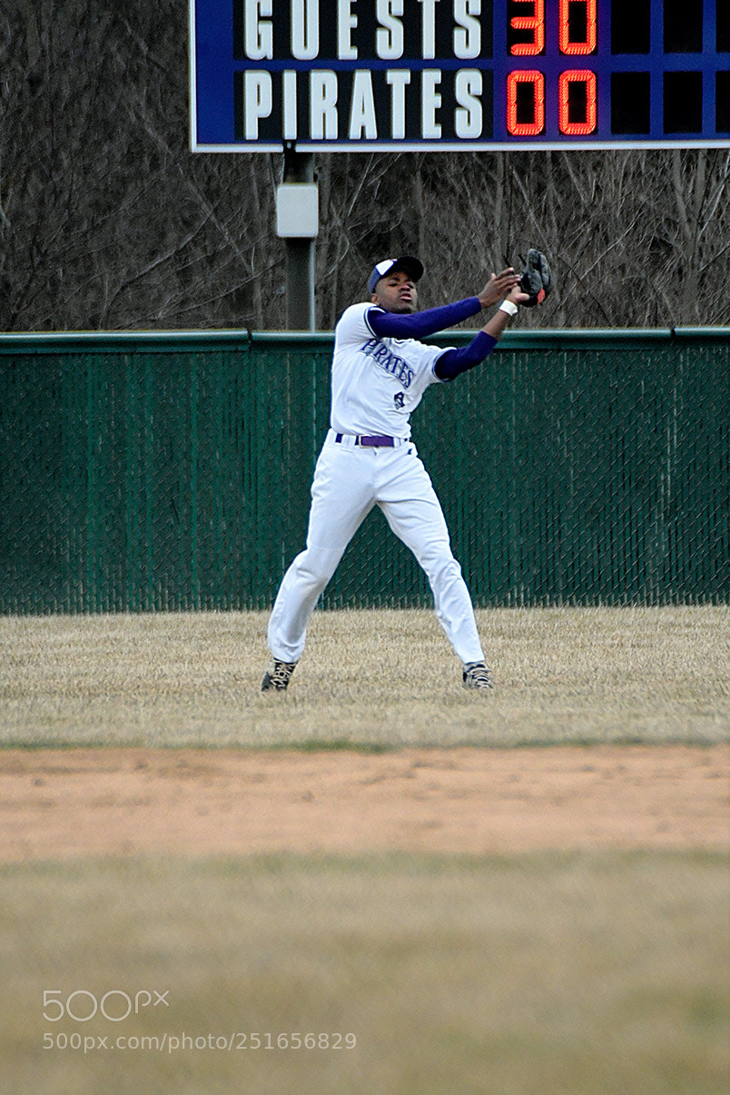 Nikon D500 sample photo. 3-26_0444.jpg photography
