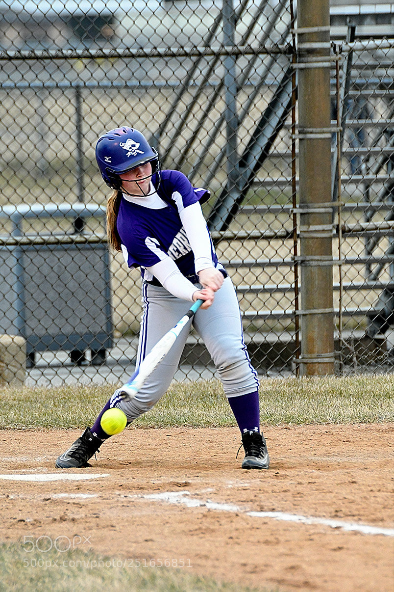 Nikon D500 sample photo. 3-26_0663.jpg photography