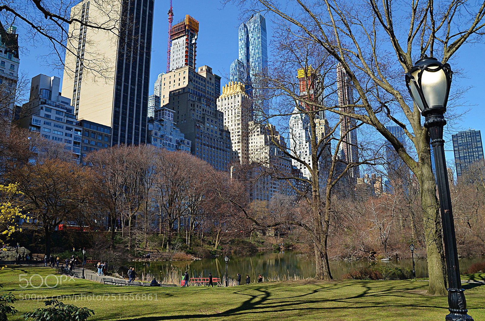 Nikon D5100 sample photo. Central park photography