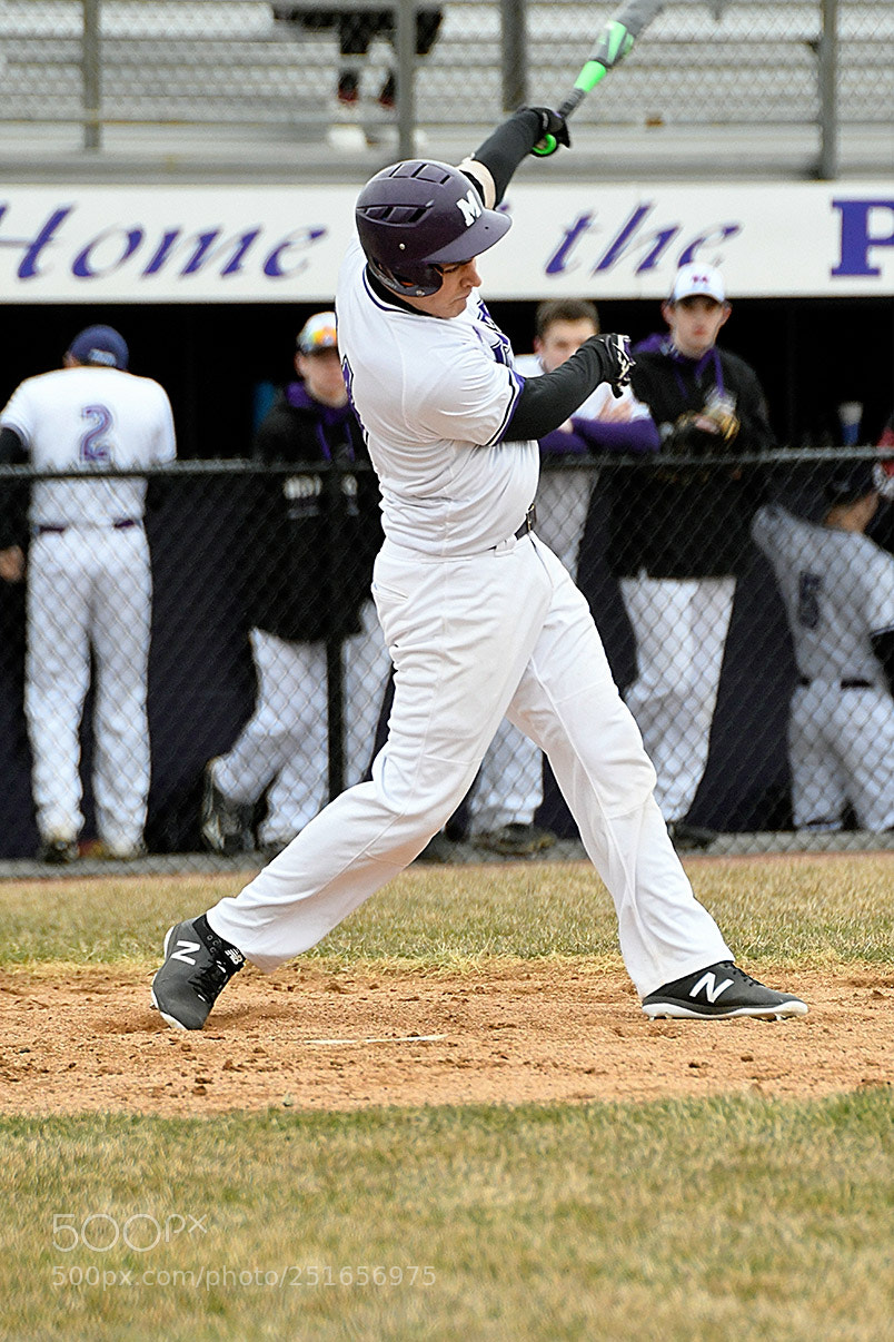Nikon D500 sample photo. 3-26_0206.jpg photography