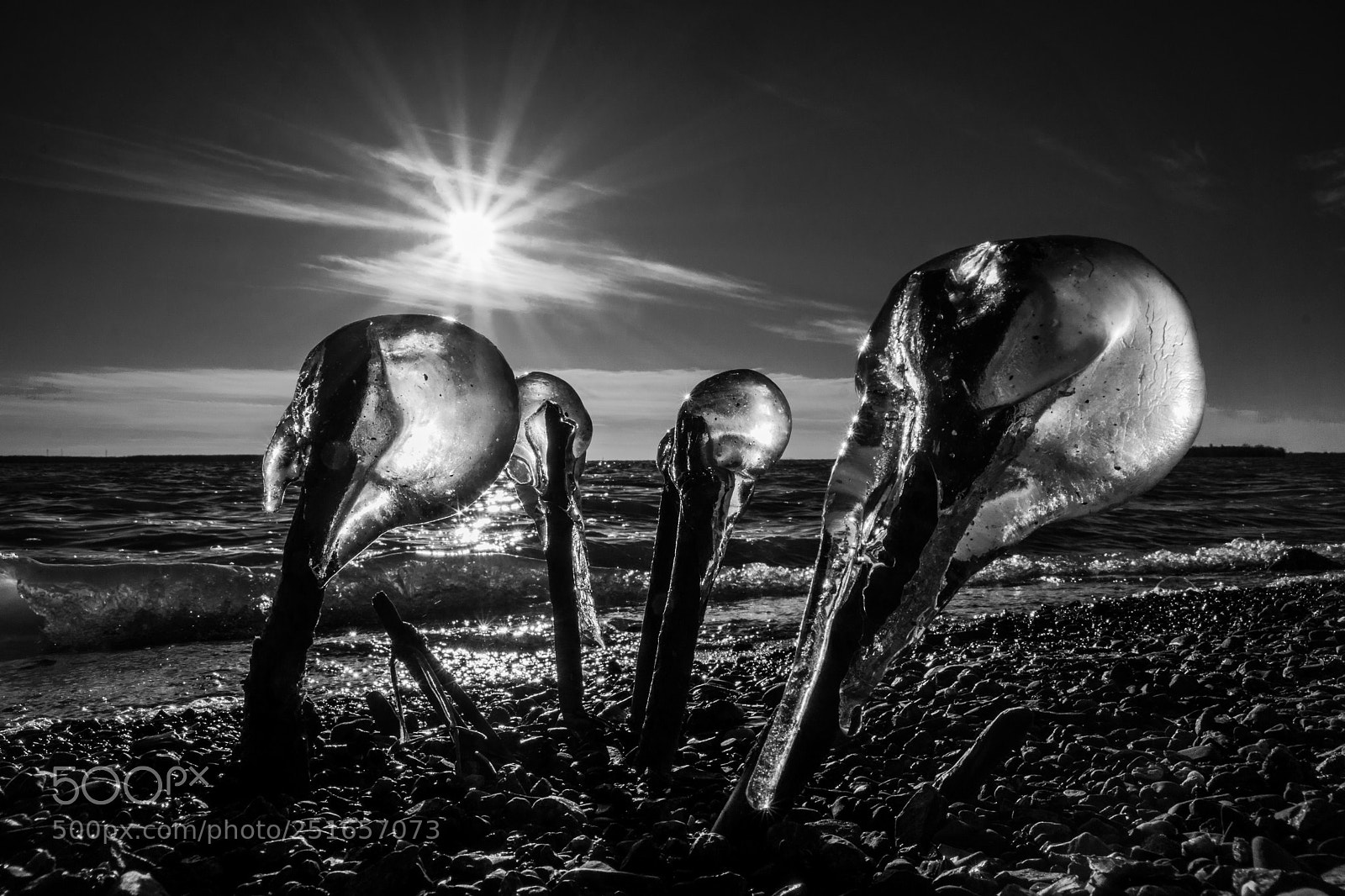 Sony a6000 sample photo. Crystal skulls photography