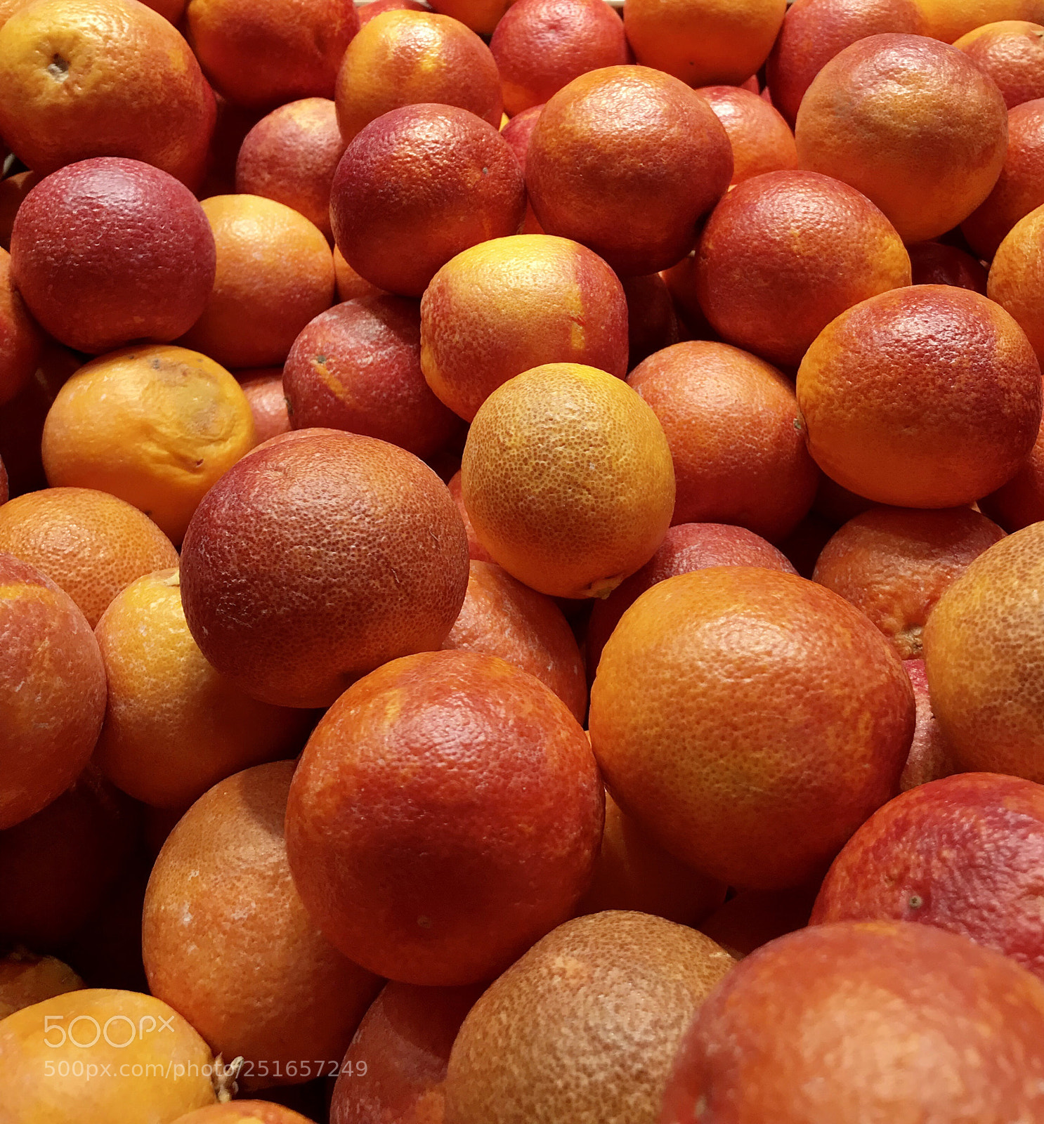 Apple iPhone 7 sample photo. Fifty shades of orange!! photography