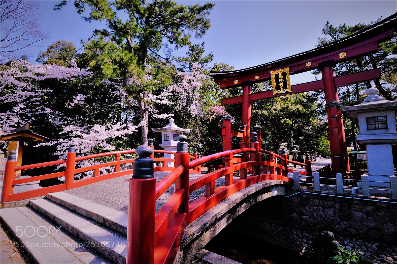 Fujifilm X-T10 sample photo. Kehi jingu torii gate photography