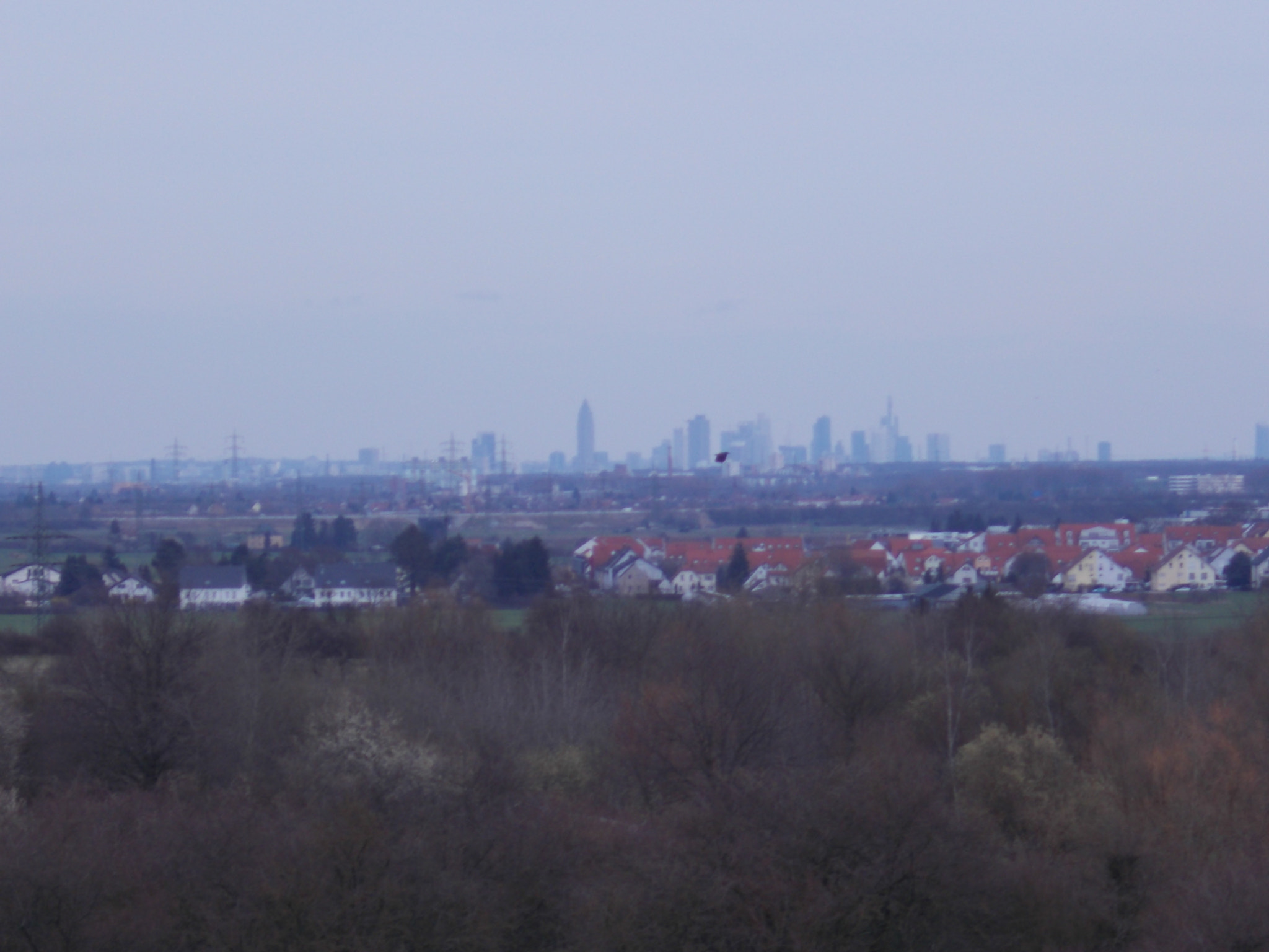 Nikon Coolpix A10 sample photo. Hazy mainhattan on the horizon photography