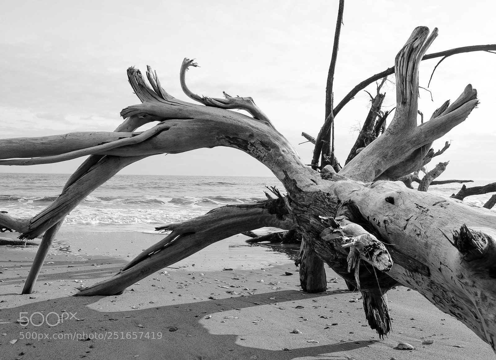 Nikon D5100 sample photo. Heavy  photography