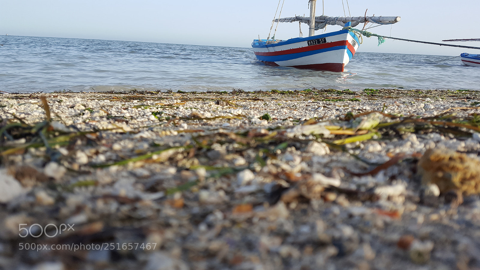 Samsung Galaxy S6 sample photo. Untitled photography