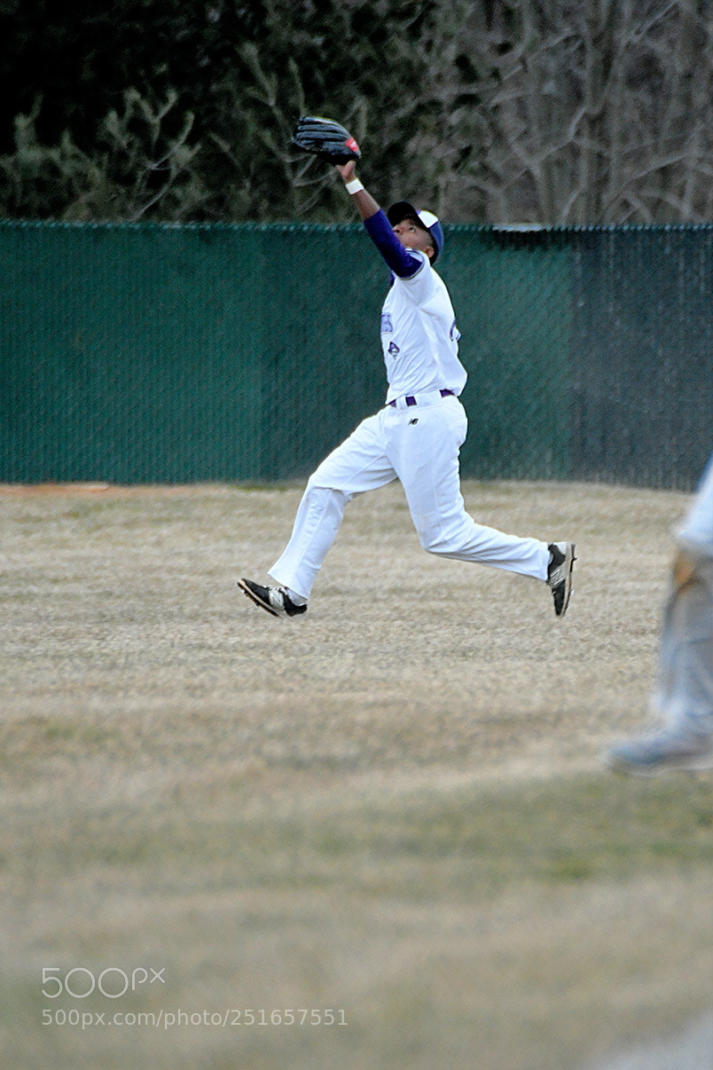 Nikon D500 sample photo. 3-26_0463.jpg photography