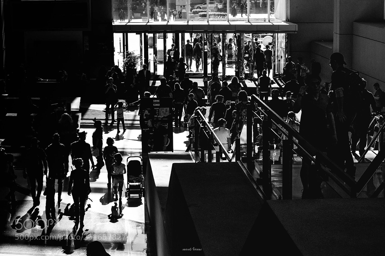 Canon EOS-1D Mark II N sample photo. Walks photography