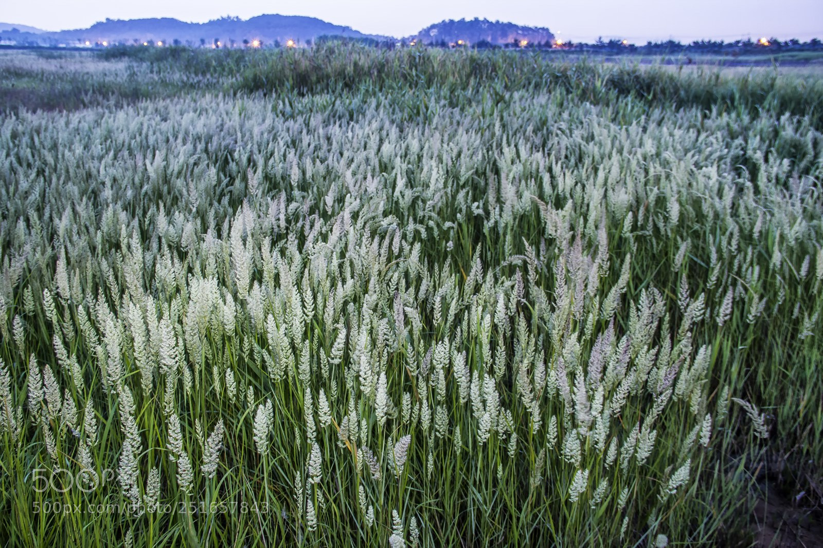 Canon EOS 7D sample photo. 풍경 photography