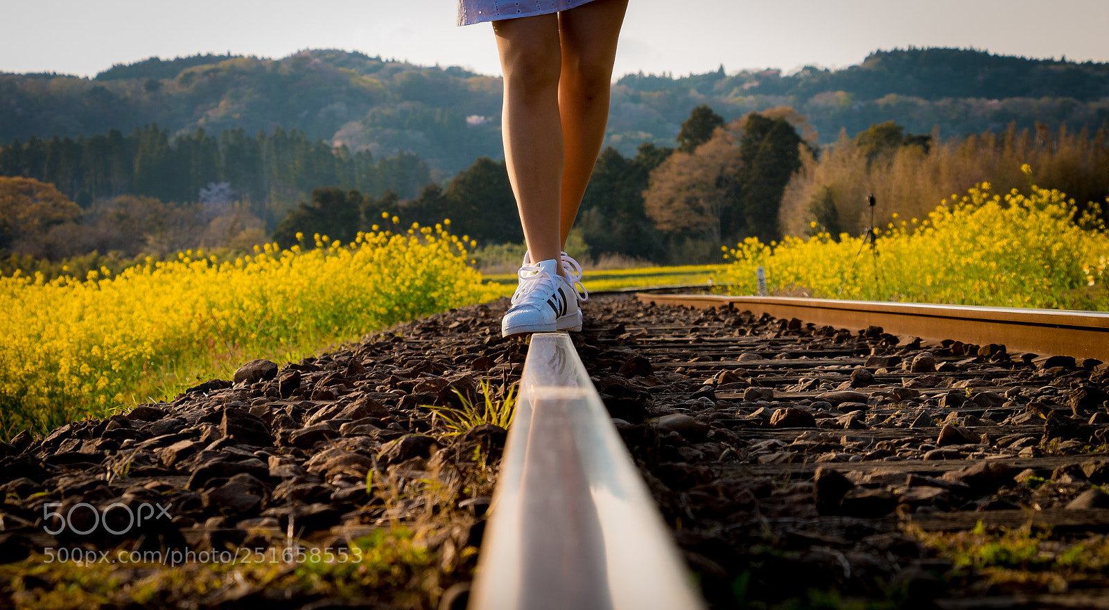 Canon EOS 70D sample photo. On the rail photography