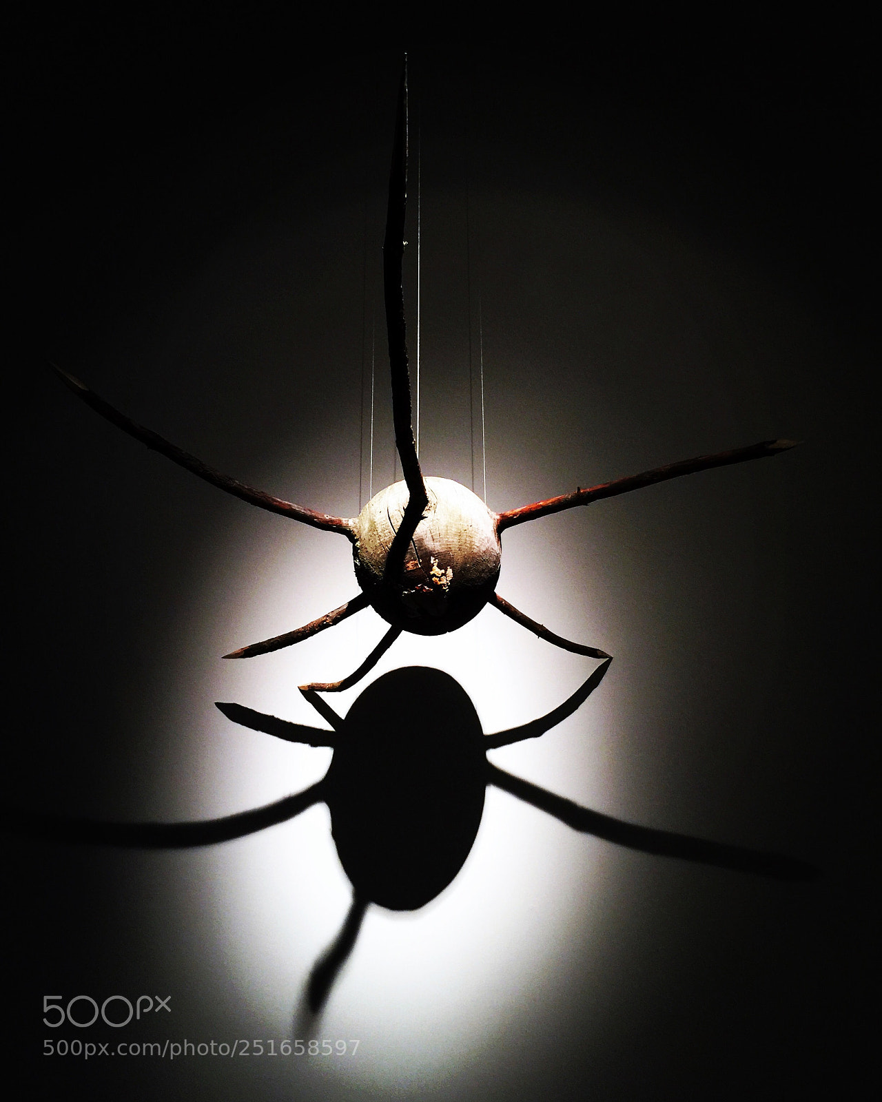 Apple iPhone 6 Plus sample photo. Silhouette of a spider.  photography