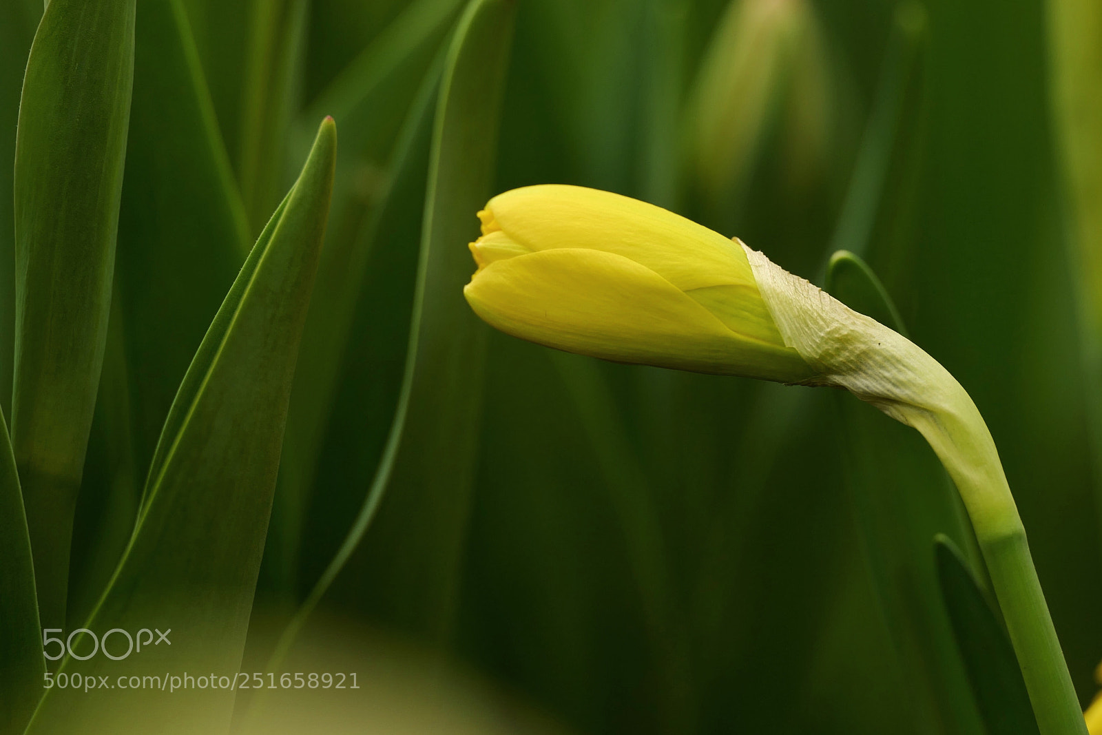 Leica SL (Typ 601) sample photo. Untitled photography