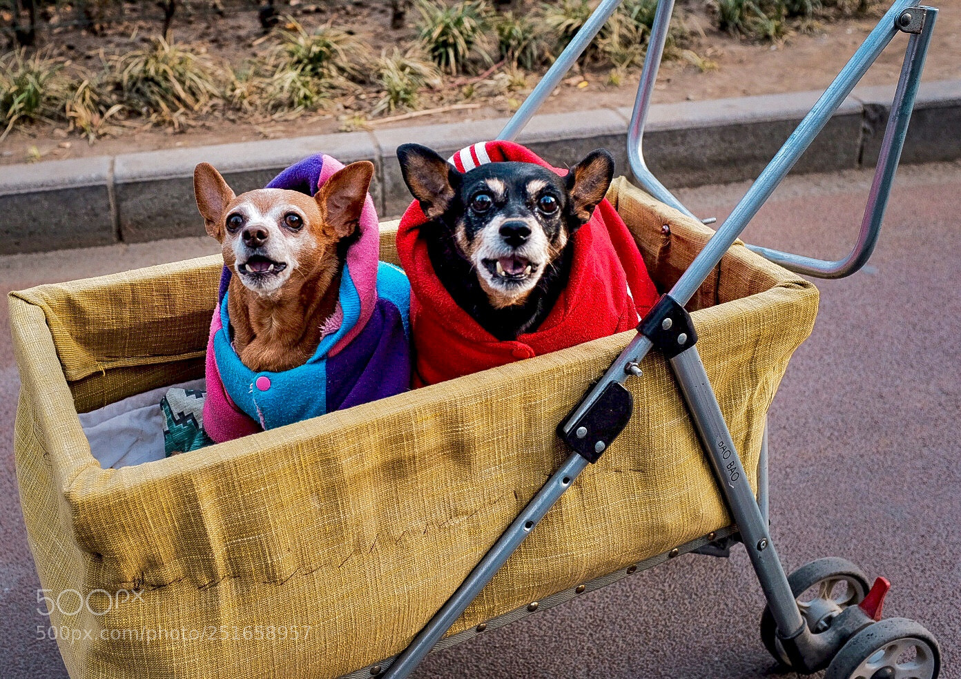 Fujifilm X100F sample photo. Untitled photography