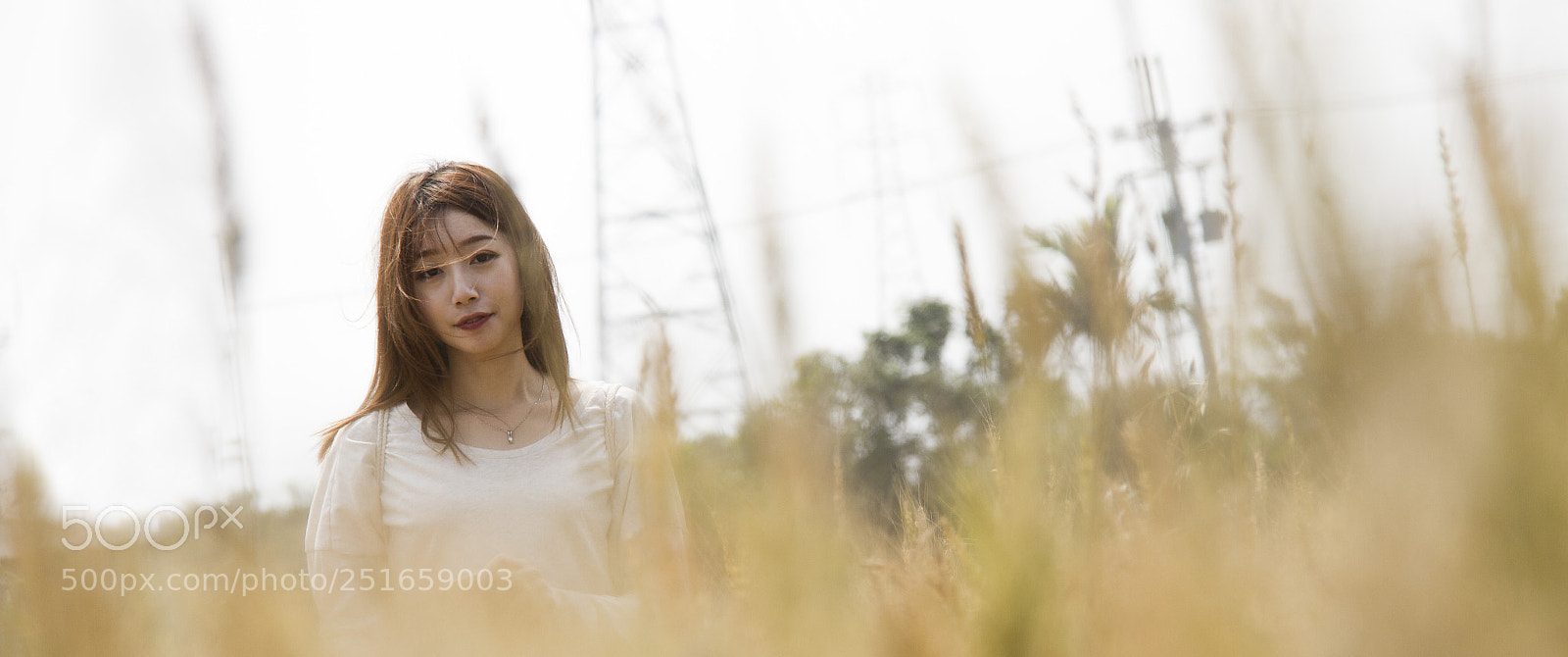 Canon EOS 7D sample photo. Abe photography
