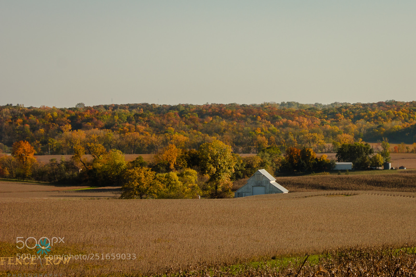 Canon EOS 550D (EOS Rebel T2i / EOS Kiss X4) sample photo. Fall for iowa photography