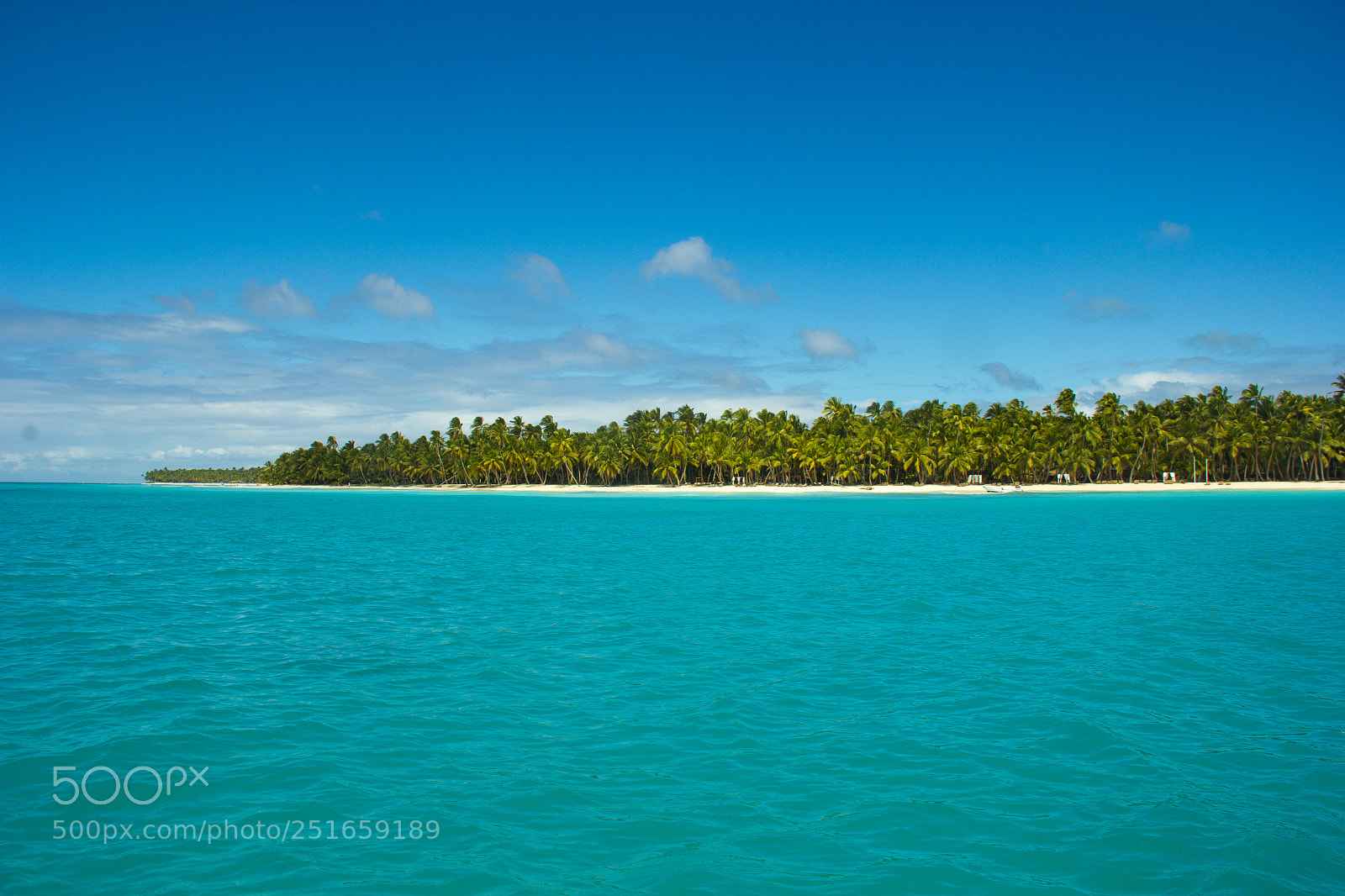 Canon EOS 60D sample photo. A sliver of tropical photography