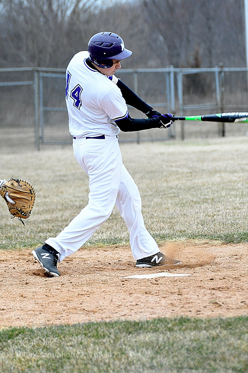 Nikon D500 sample photo. 3-26_0522.jpg photography