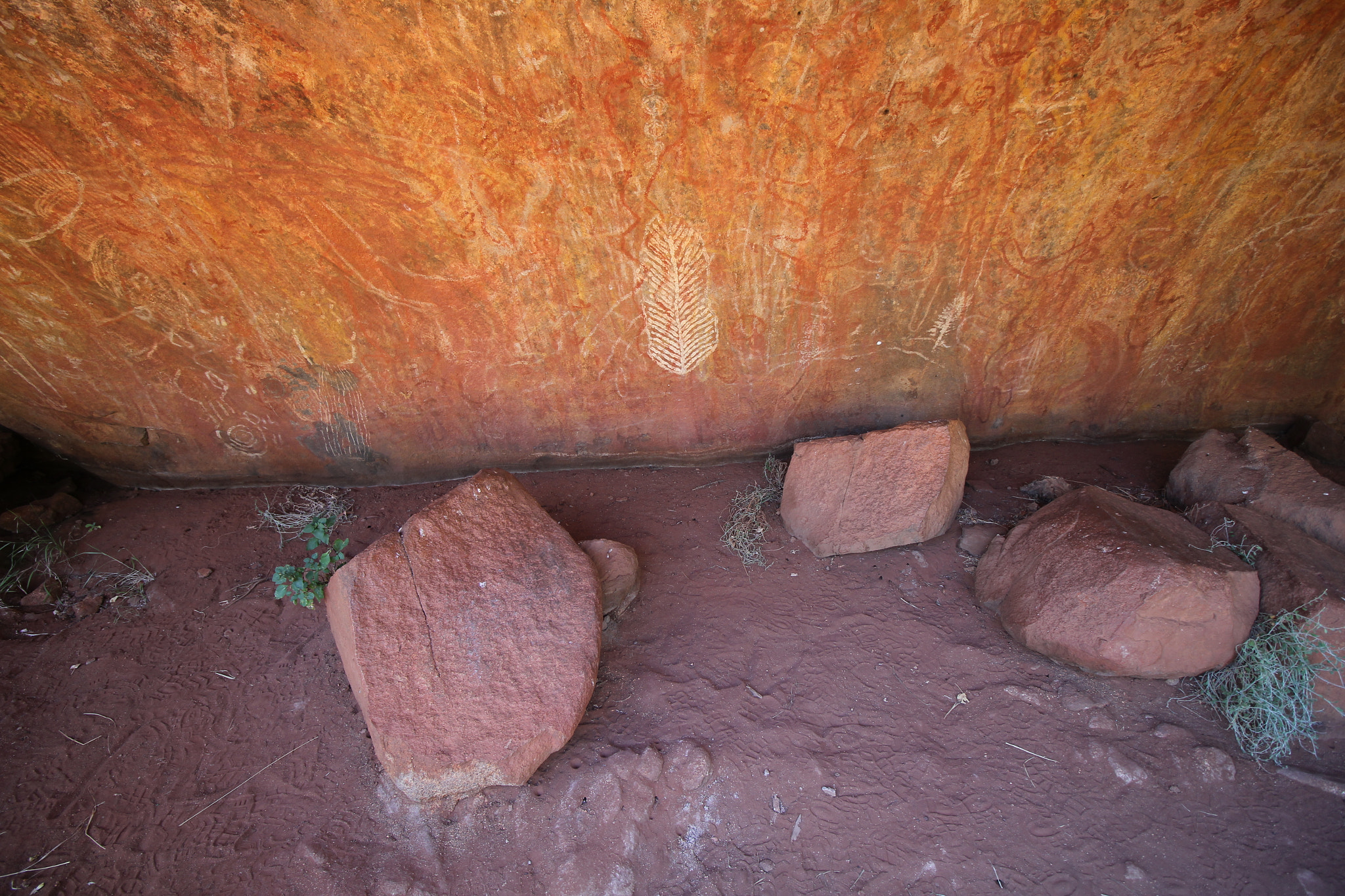 Canon EOS 550D (EOS Rebel T2i / EOS Kiss X4) sample photo. Ancient aboriginal art photography