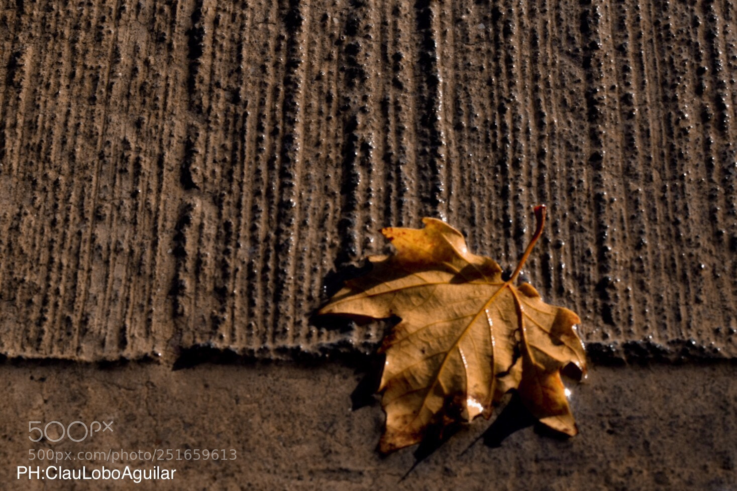 Nikon D5300 sample photo. Untitled photography