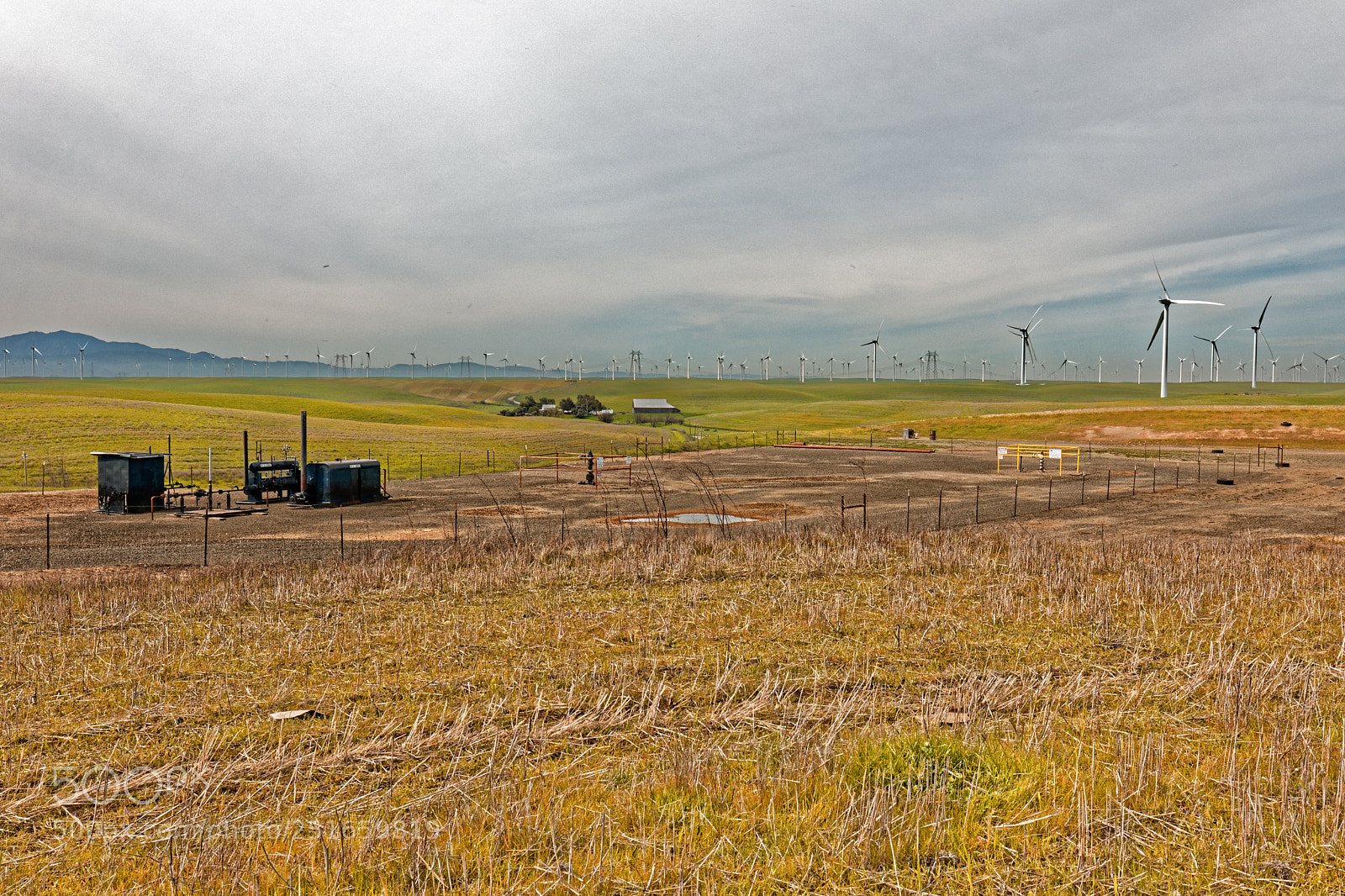Canon EOS 5D Mark IV sample photo. California energy program photography