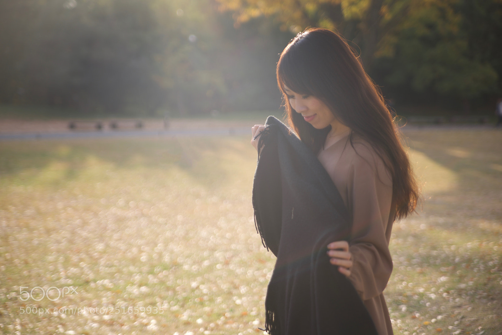 Pentax K-1 sample photo. 秋の光 photography