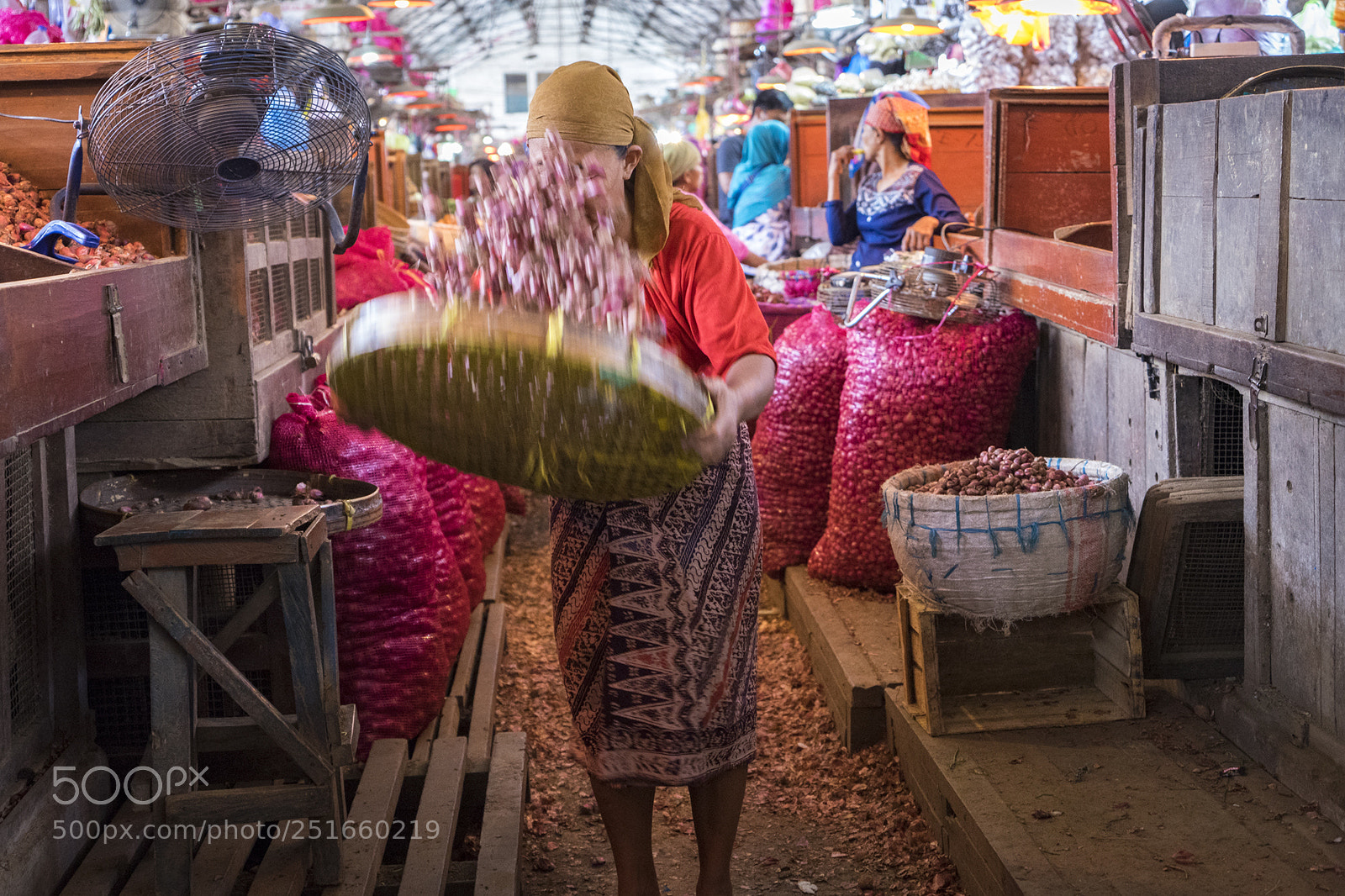 Sony a7 sample photo. Cleaning the onion photography