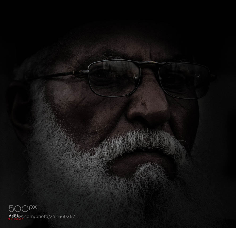Nikon D7100 sample photo. Untitled photography