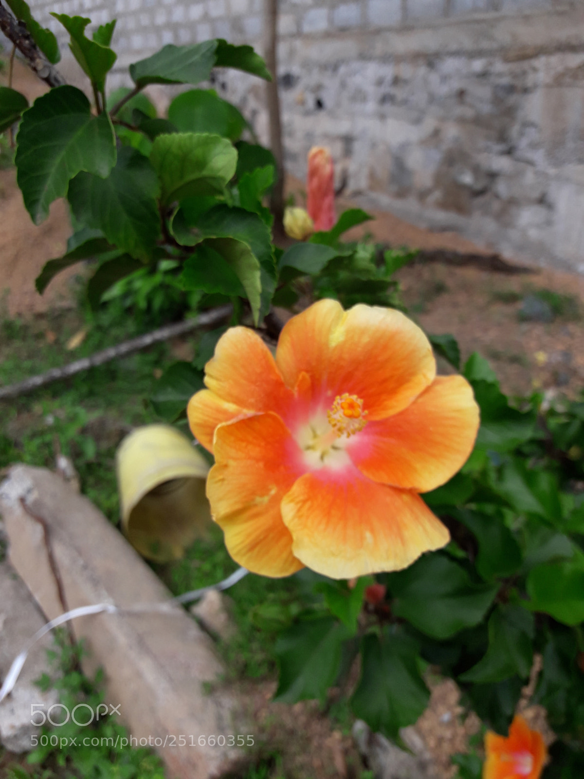 Samsung Galaxy J7 Neo sample photo. Untitled photography