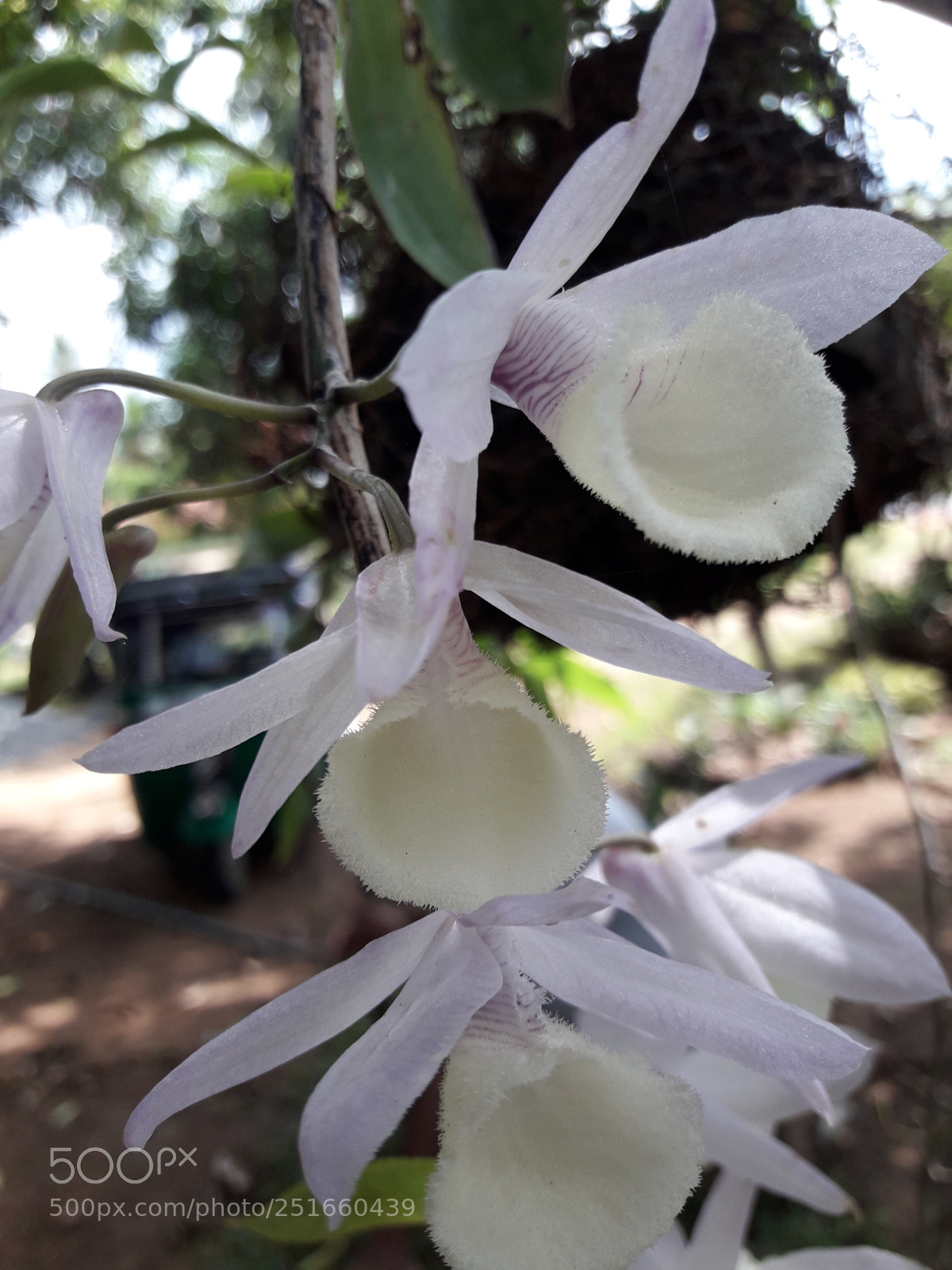 Samsung Galaxy J7 Neo sample photo. Untitled photography