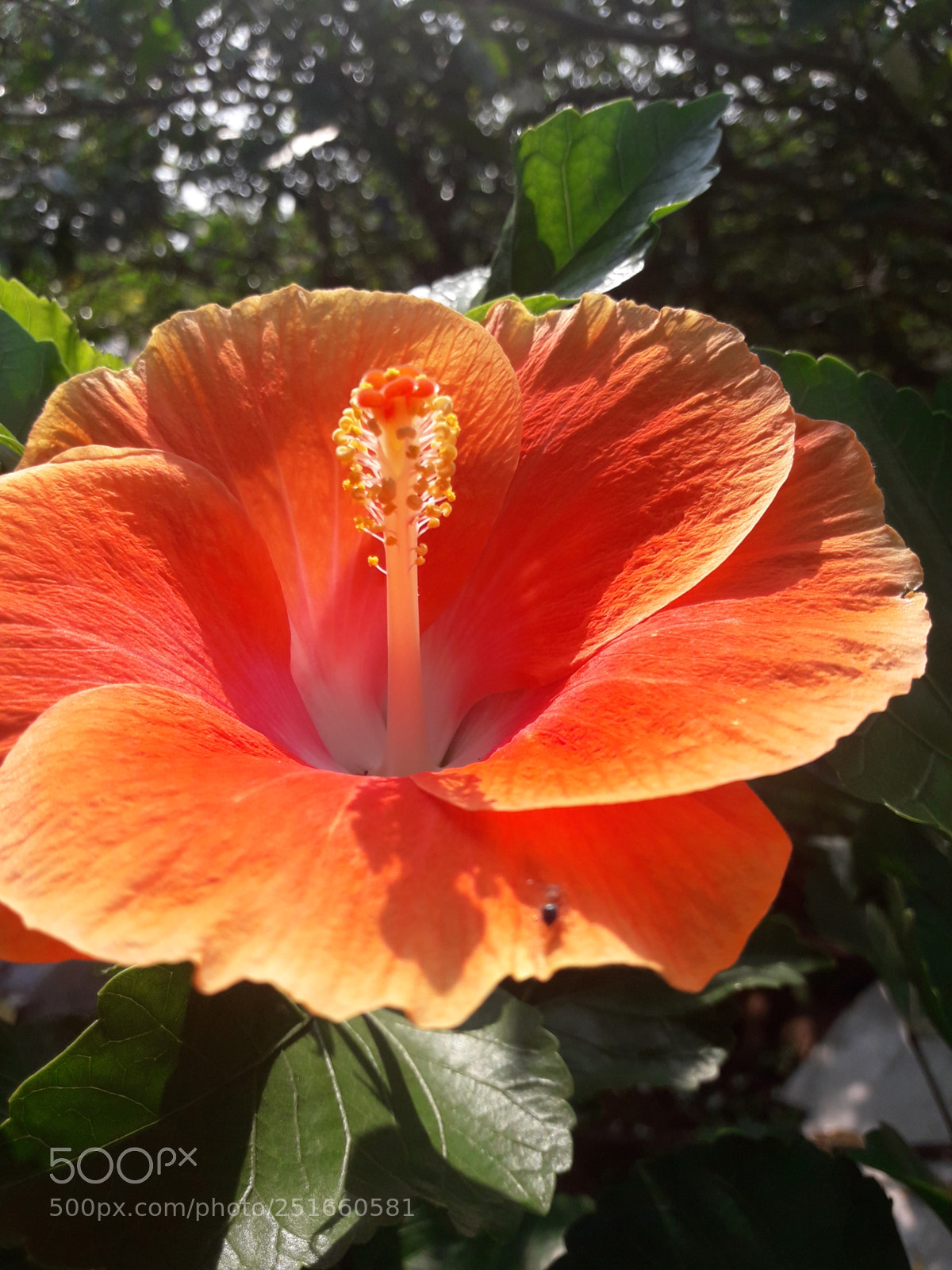 Samsung Galaxy J7 Neo sample photo. Untitled photography