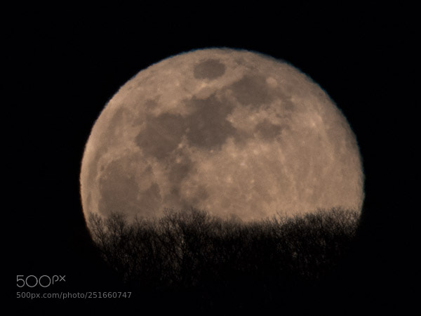 Nikon D850 sample photo. Blue moon 1 photography