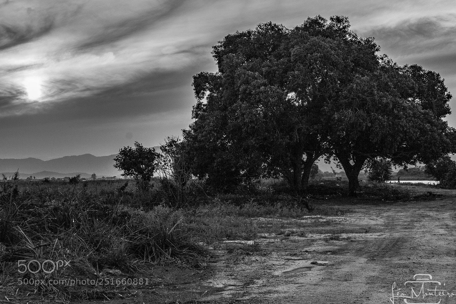 Canon EOS 70D sample photo. Nature & landscapes photography