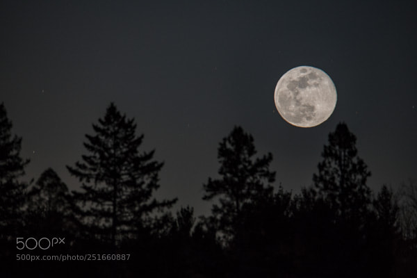 Nikon D850 sample photo. Blue moon 2 photography