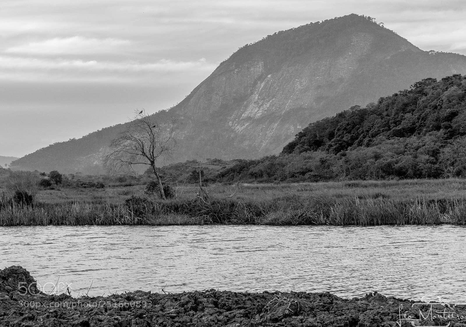 Canon EOS 70D sample photo. Nature & landscapes photography