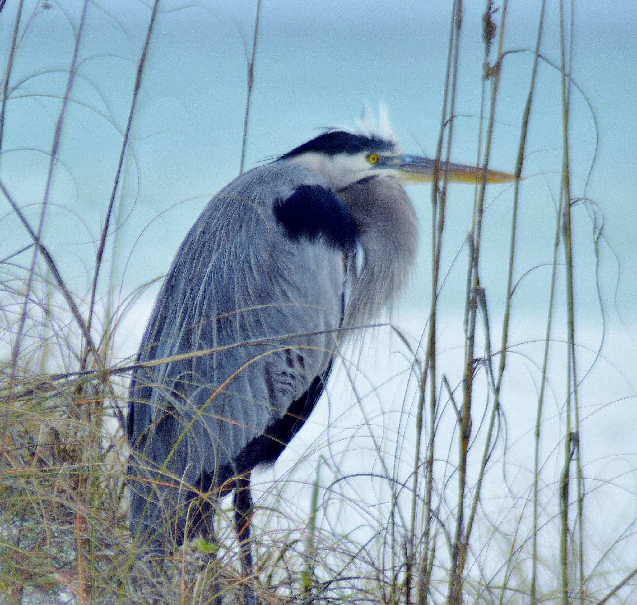 Nikon D3200 sample photo. Solitary sentinal photography