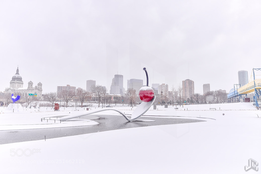 Nikon D610 sample photo. Walker white wonderland photography