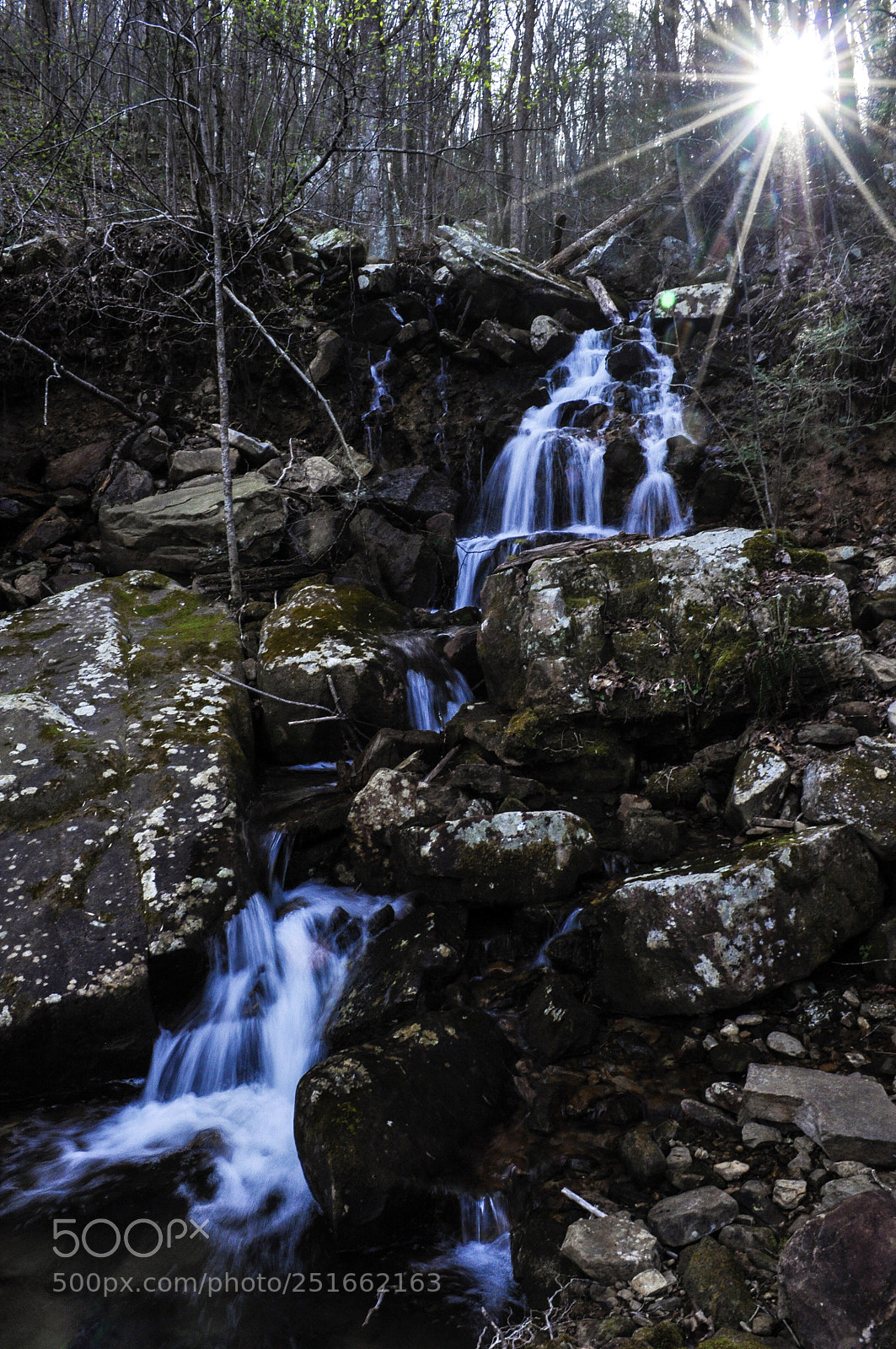 Nikon D90 sample photo. Untitled photography