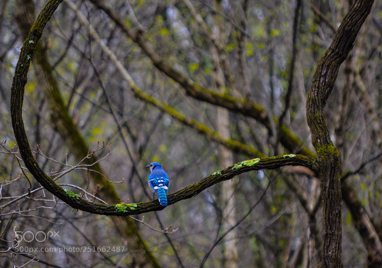 Nikon D90 sample photo. Untitled photography