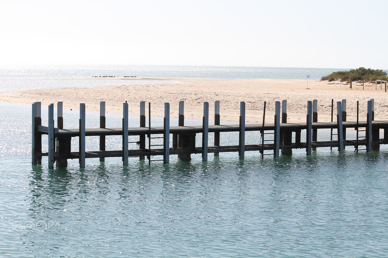 Canon EF-S 55-250mm F4-5.6 IS sample photo. Monkey mia jetty photography