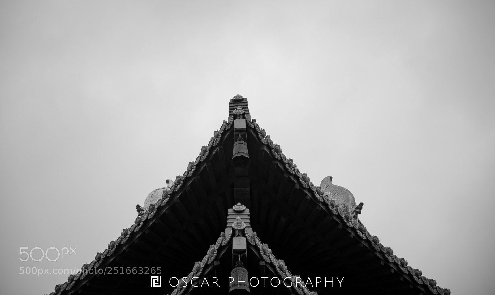 Nikon D810 sample photo. Untitled photography
