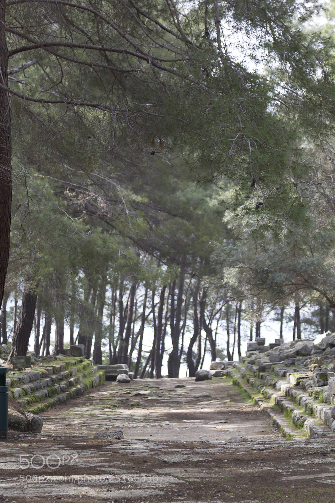 Canon EOS 60D sample photo. Phaselis ancient city. antalya photography