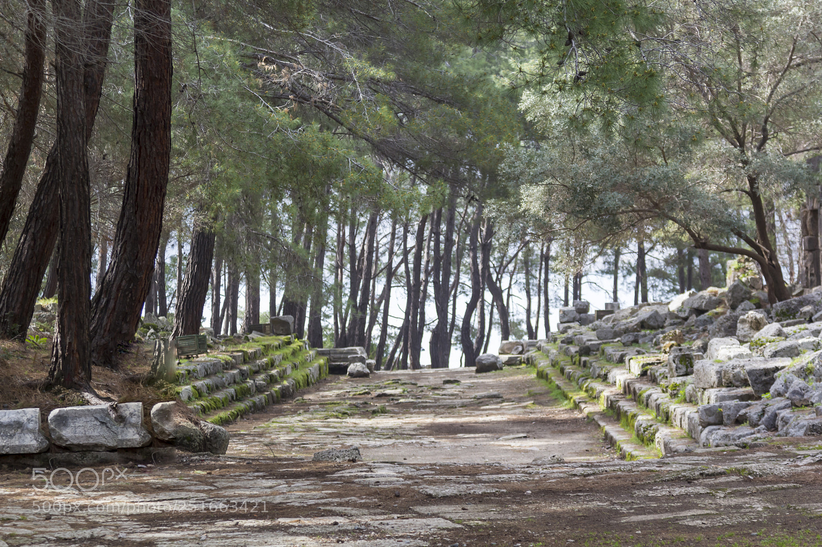 Canon EOS 60D sample photo. Phaselis ancient city. antalya photography