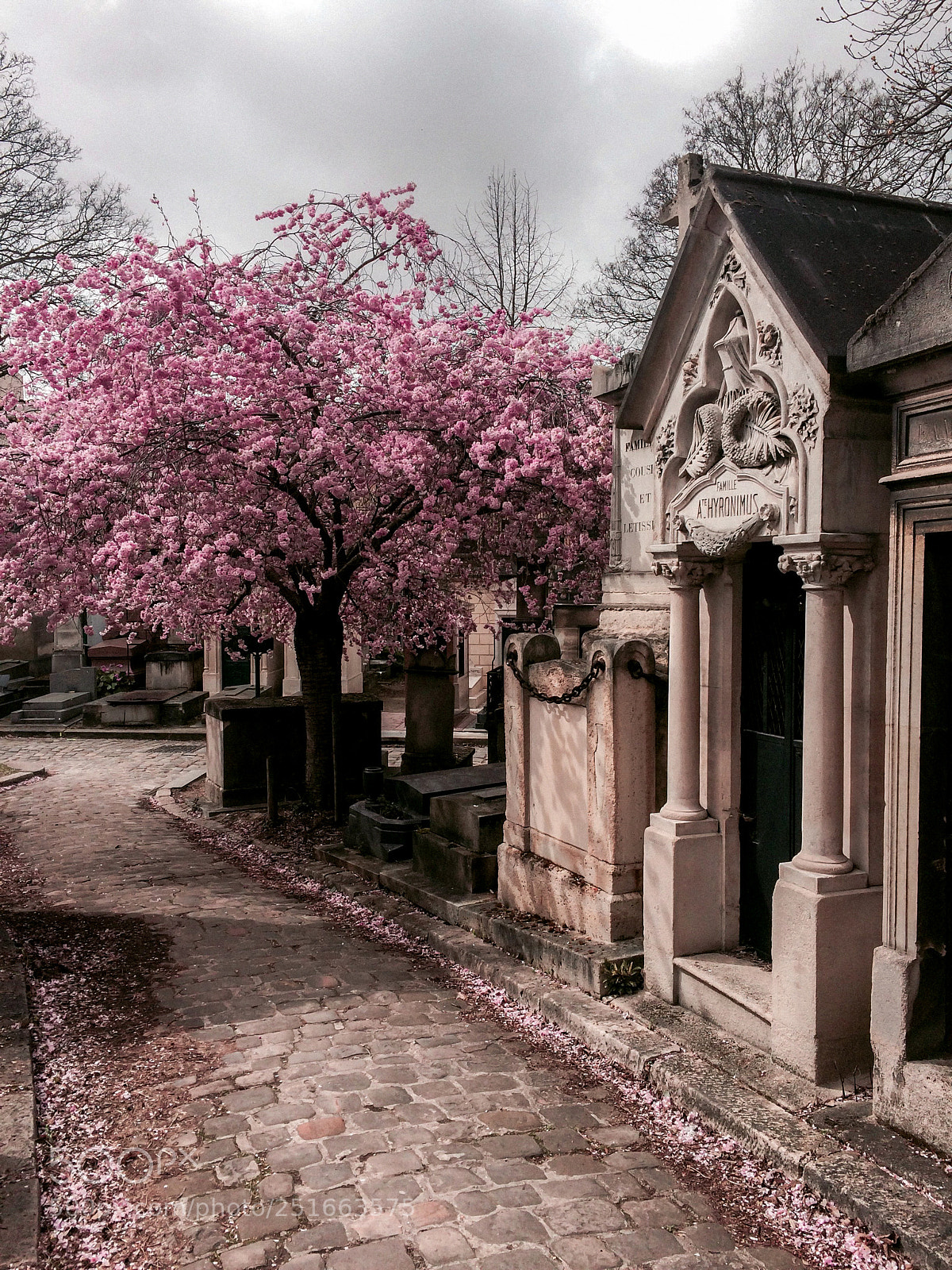 Apple iPhone 5s sample photo. Père lachaise cemetary photography