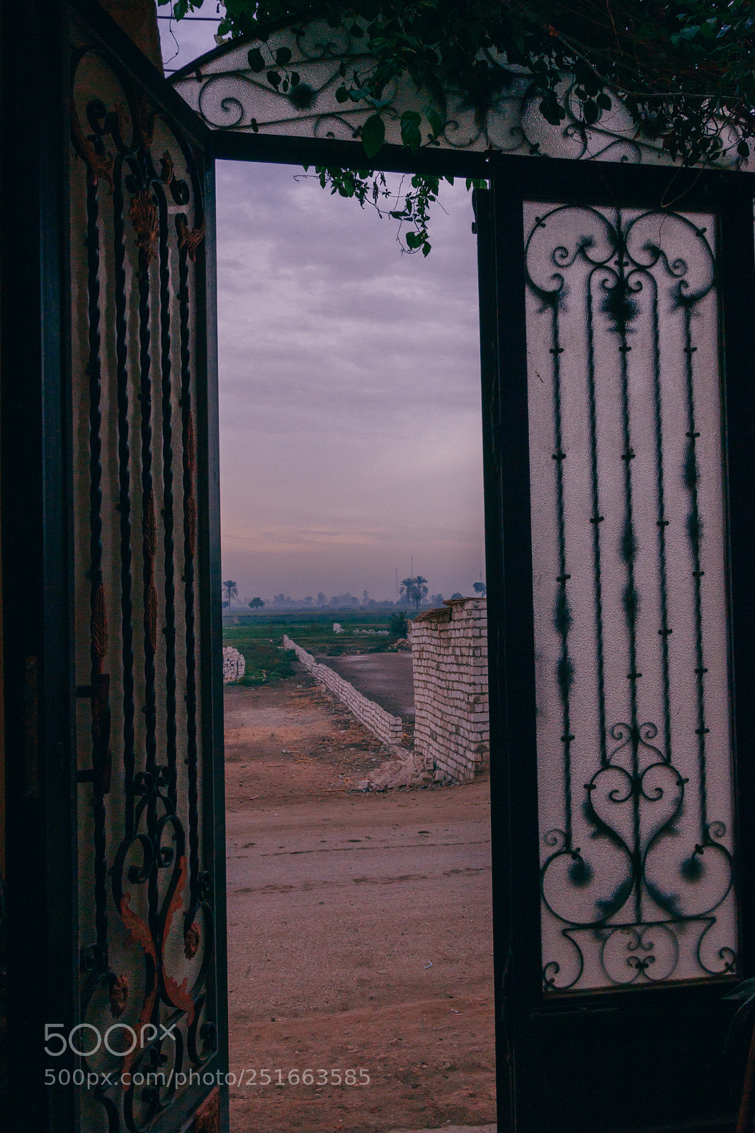 Canon EOS 80D sample photo. Egypt local home photography