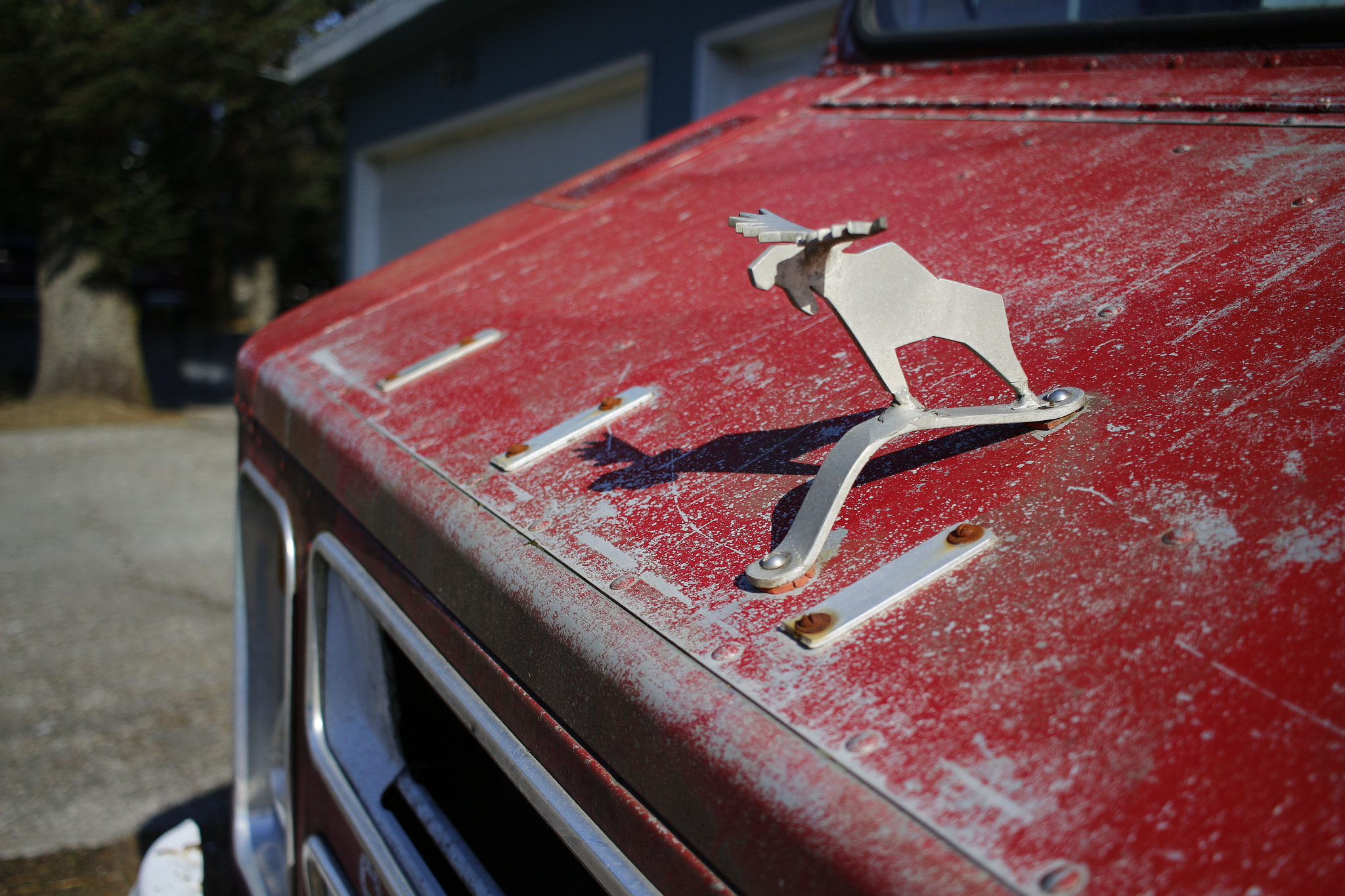 Canon EF-S 24mm F2.8 STM sample photo