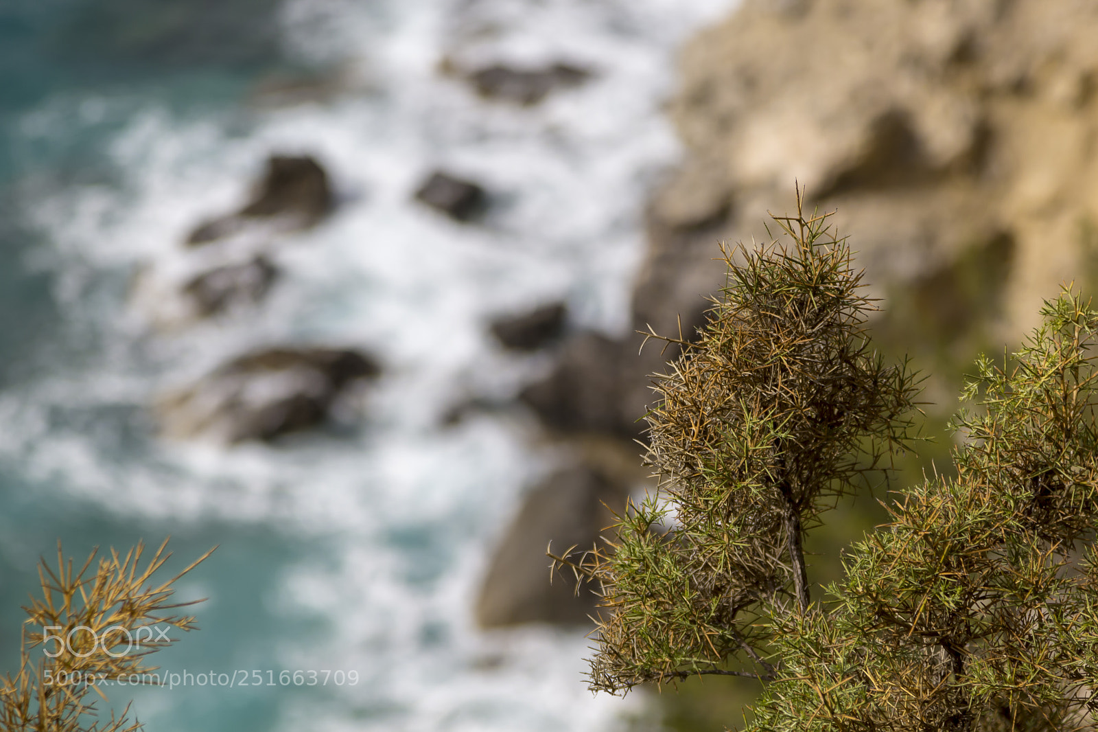 Canon EOS 60D sample photo. Overhead view ocean and photography