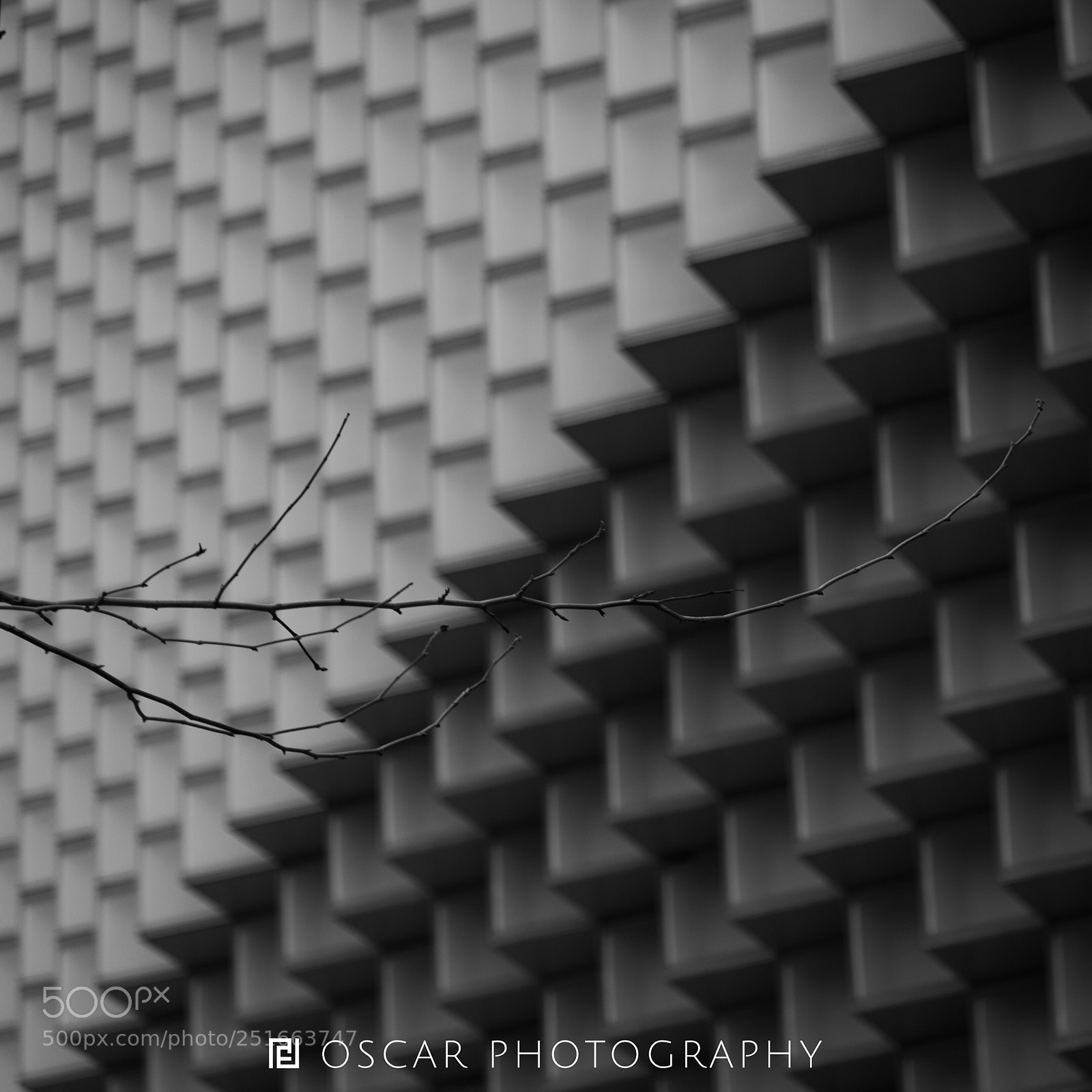 Nikon D810 sample photo. Untitled photography