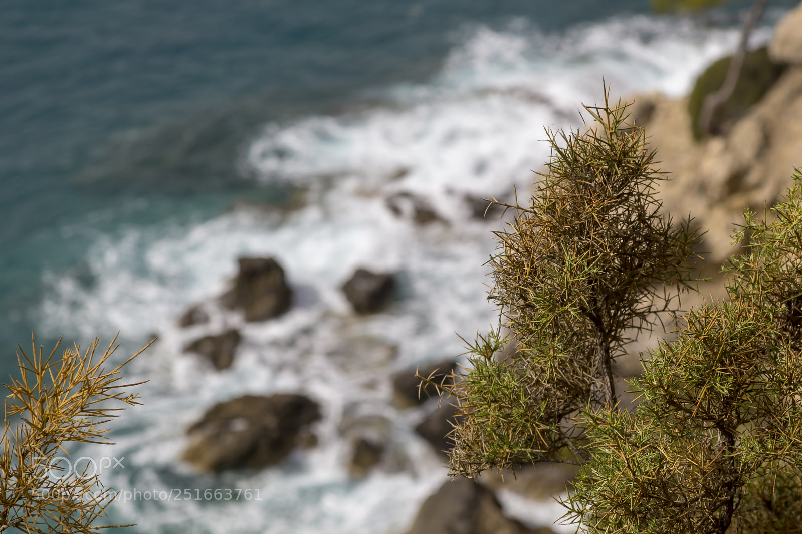 Canon EOS 60D sample photo. Overhead view ocean and photography