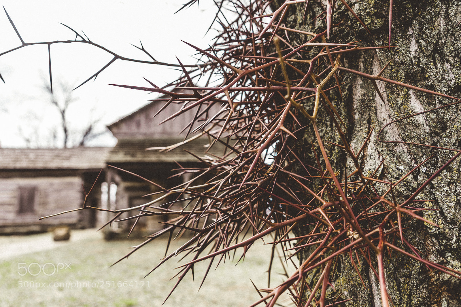 Sony a7 sample photo. Fun day photography