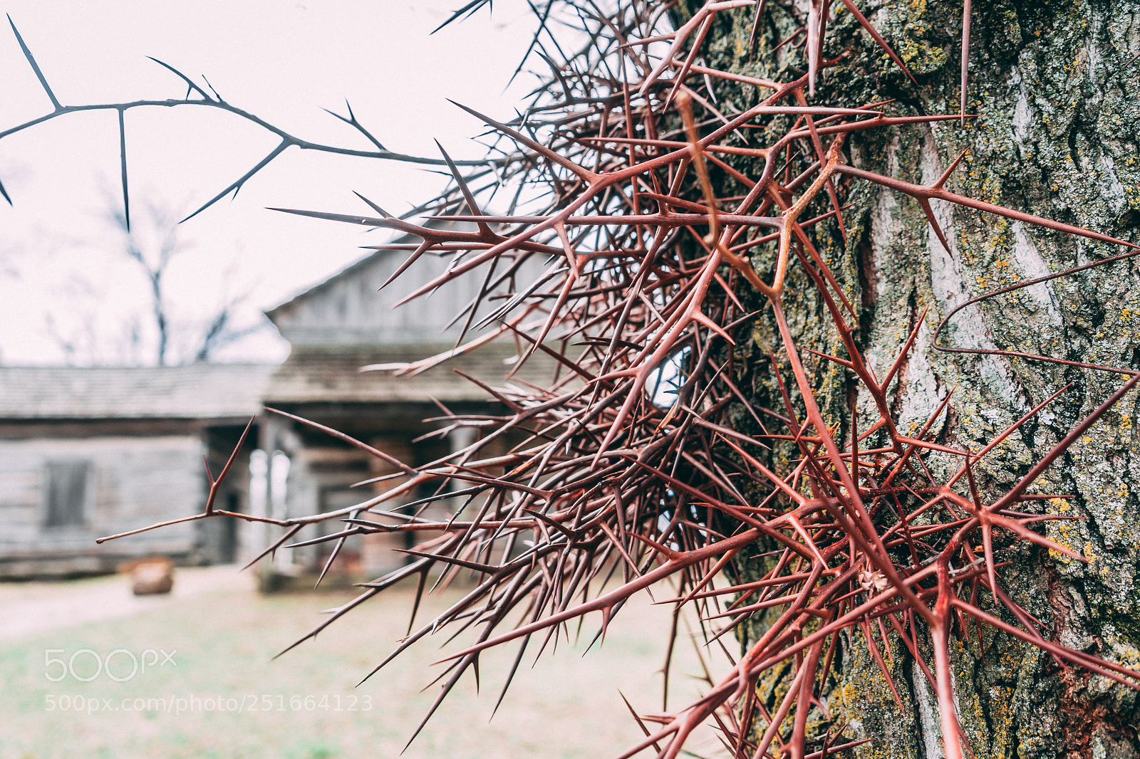 Sony a7 sample photo. Fun day photography
